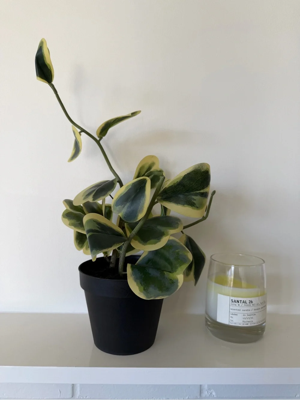 [NWOT] Faux Trailing Heart Plant